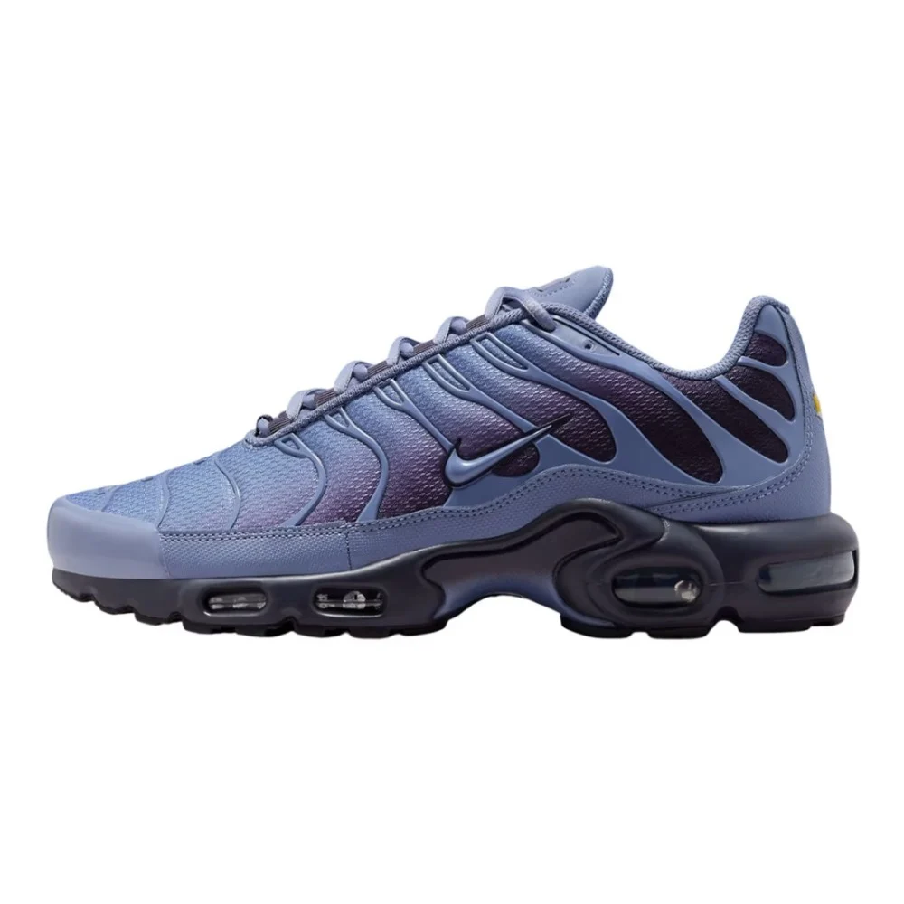 Nike Air Max Plus World Indigo, görsel 2