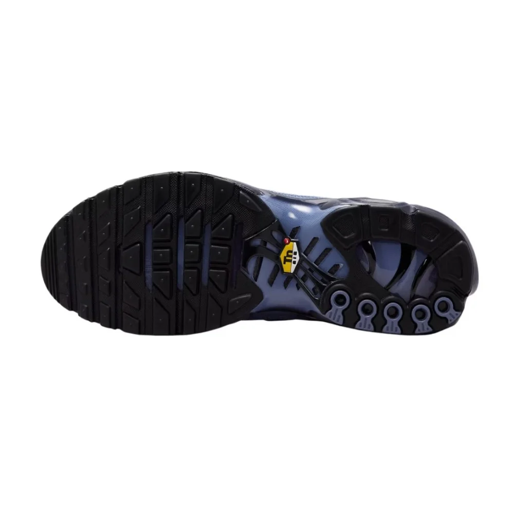 Nike Air Max Plus World Indigo, görsel 4