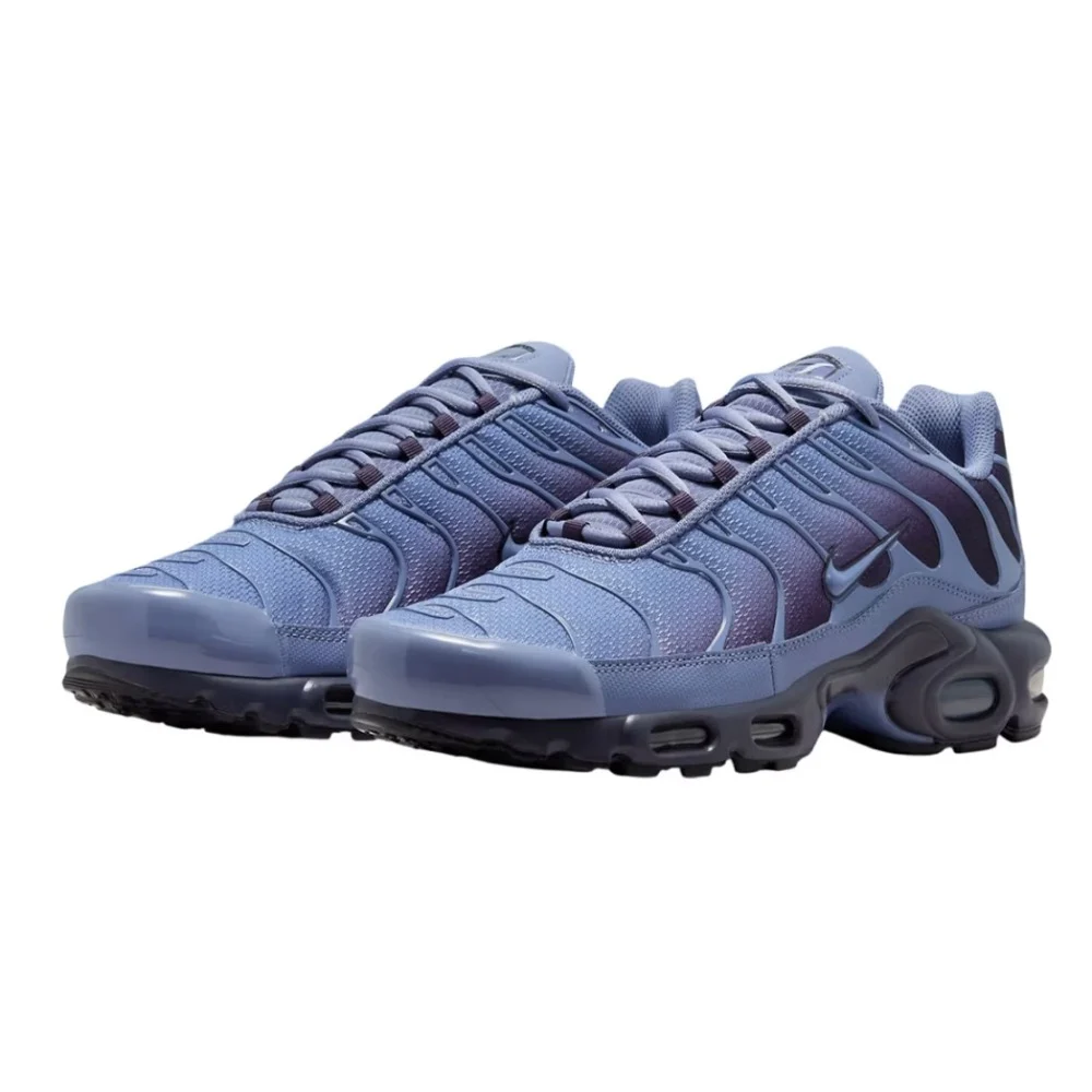 Nike Air Max Plus World Indigo, görsel 5