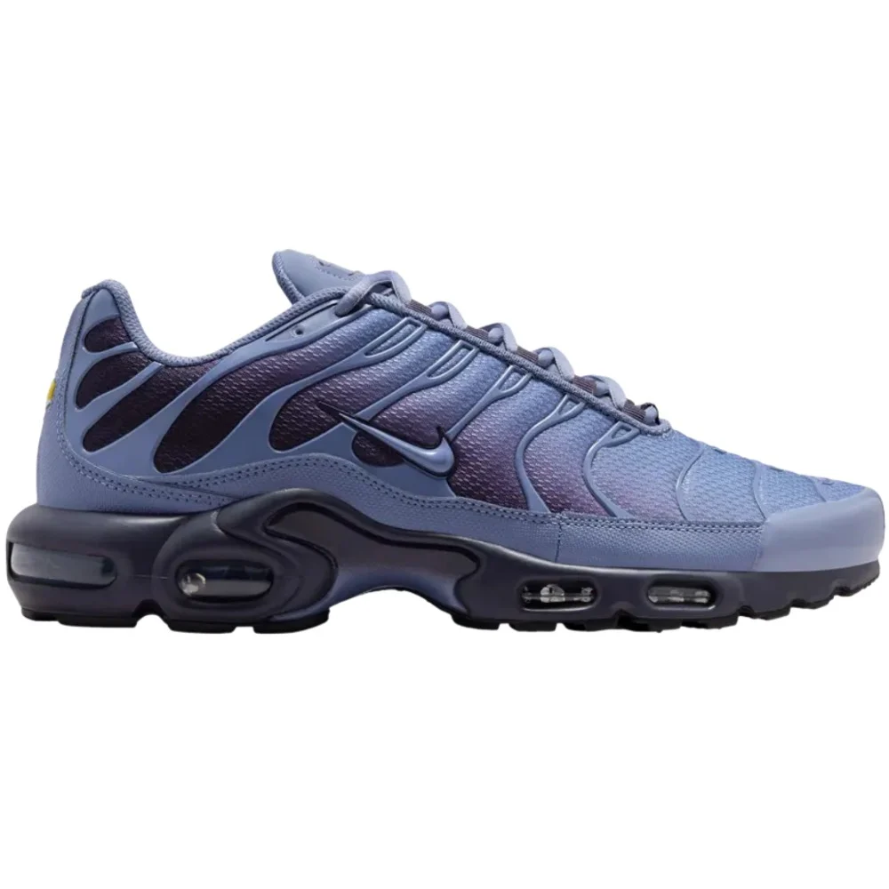 Nike Air Max Plus World Indigo, görsel 1